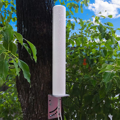 Vertical Polarization Inten 28-30dBi Long Range Outdoor Wireless Sma 1.5 Vswr Omni Antenna